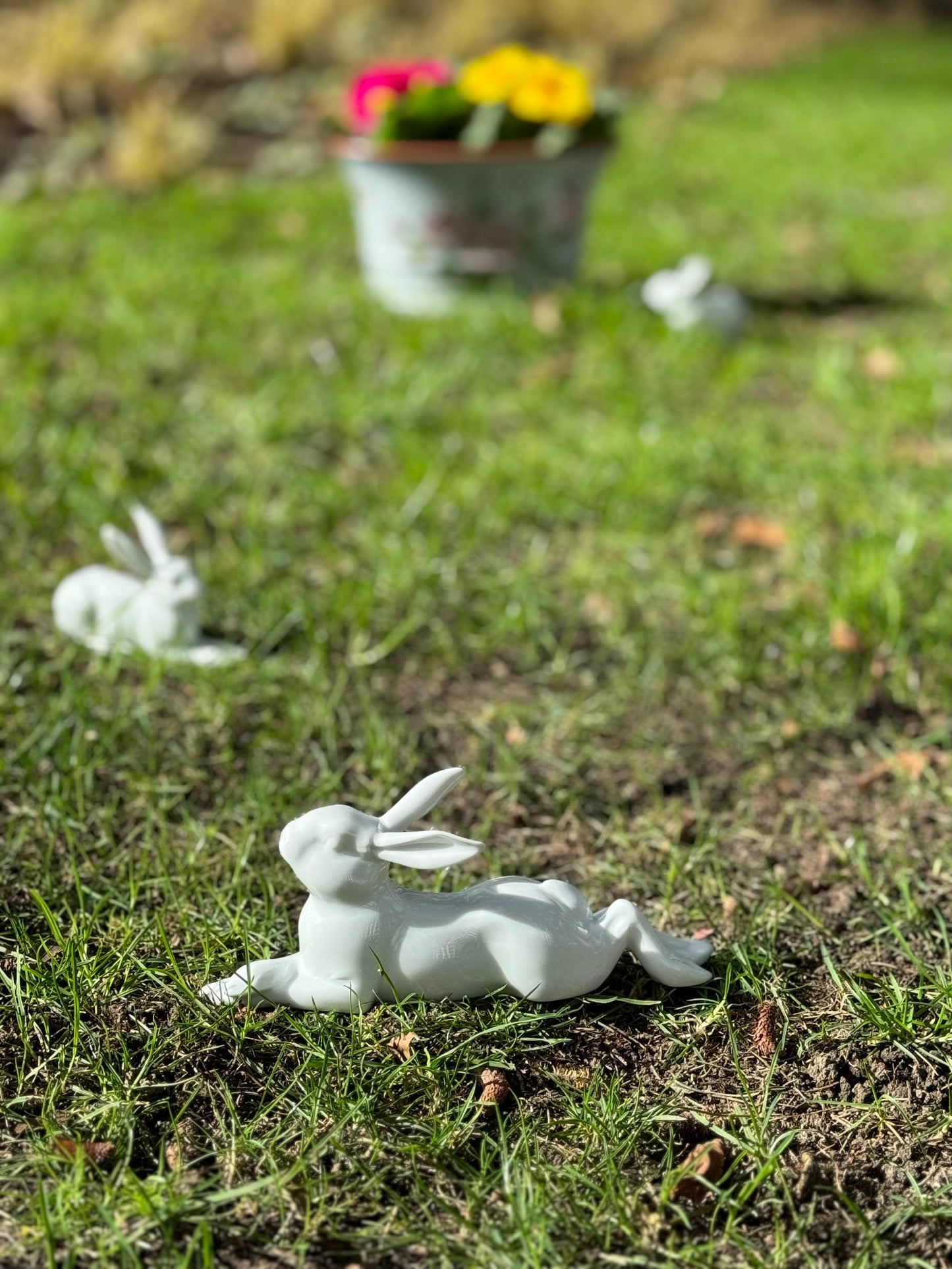 Porzellan Hase HENRI, 2024