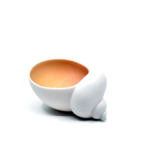 Schnecke Salz Muschelrosa