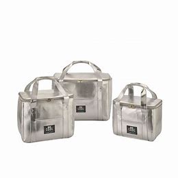 Kühltasche 10.5L silber BE COOL