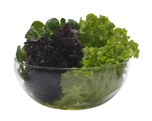 Glasschale 0.3 Liter aus Laborglas