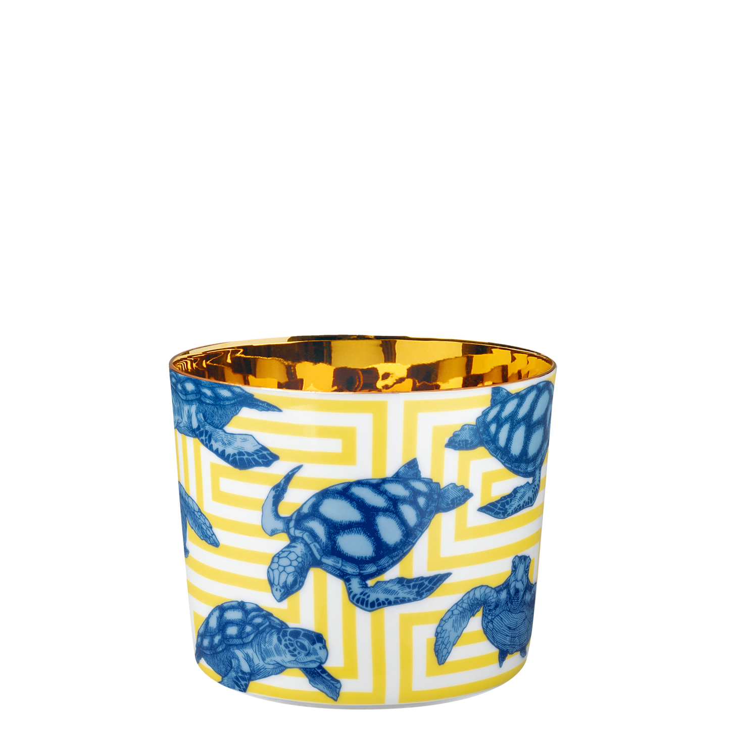 THE TORTOISES, Sip ofGold