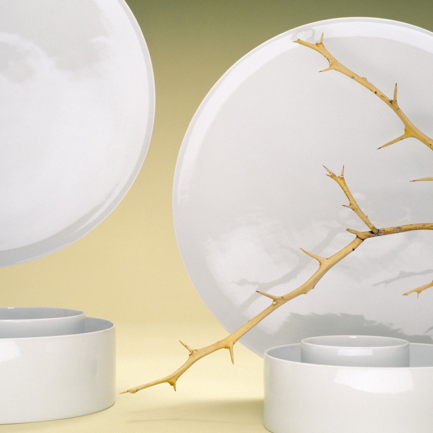 Schalen- und Plattenset HOMBRIOCH