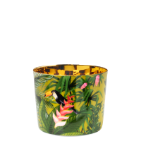 PARAÍSO Jungle, Sip of gold
