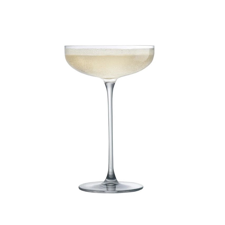 Champagner, Eis- & Cocktailschale SAVAGE