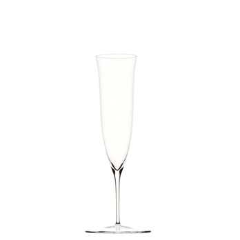 Champagnerglas hoch 22cm PATRICIAN