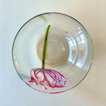ALPHA Wasserglas Tulipmania No 13