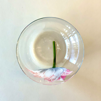 ALPHA Wasserglas Tulipmania No 23