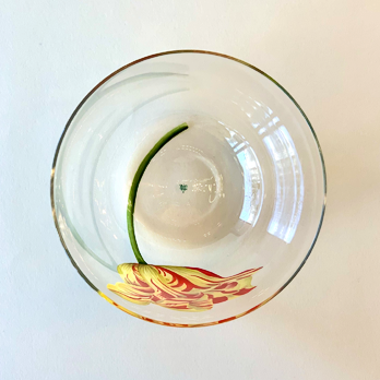 Wasserglas ALPHA Tulipmania No 55
