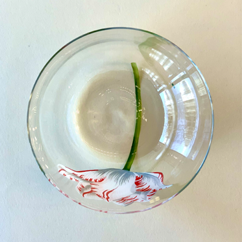 ALPHA Wasserglas Tulipmania No 58