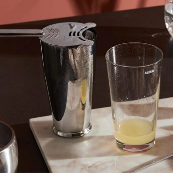 Shaker BOSTON ganz Edelstahl