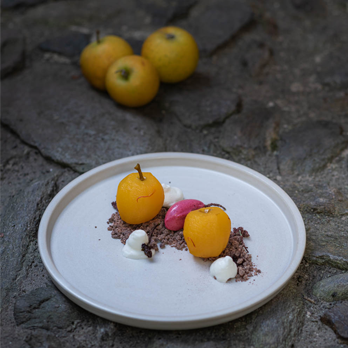 SAFRAN - Das rote Gold