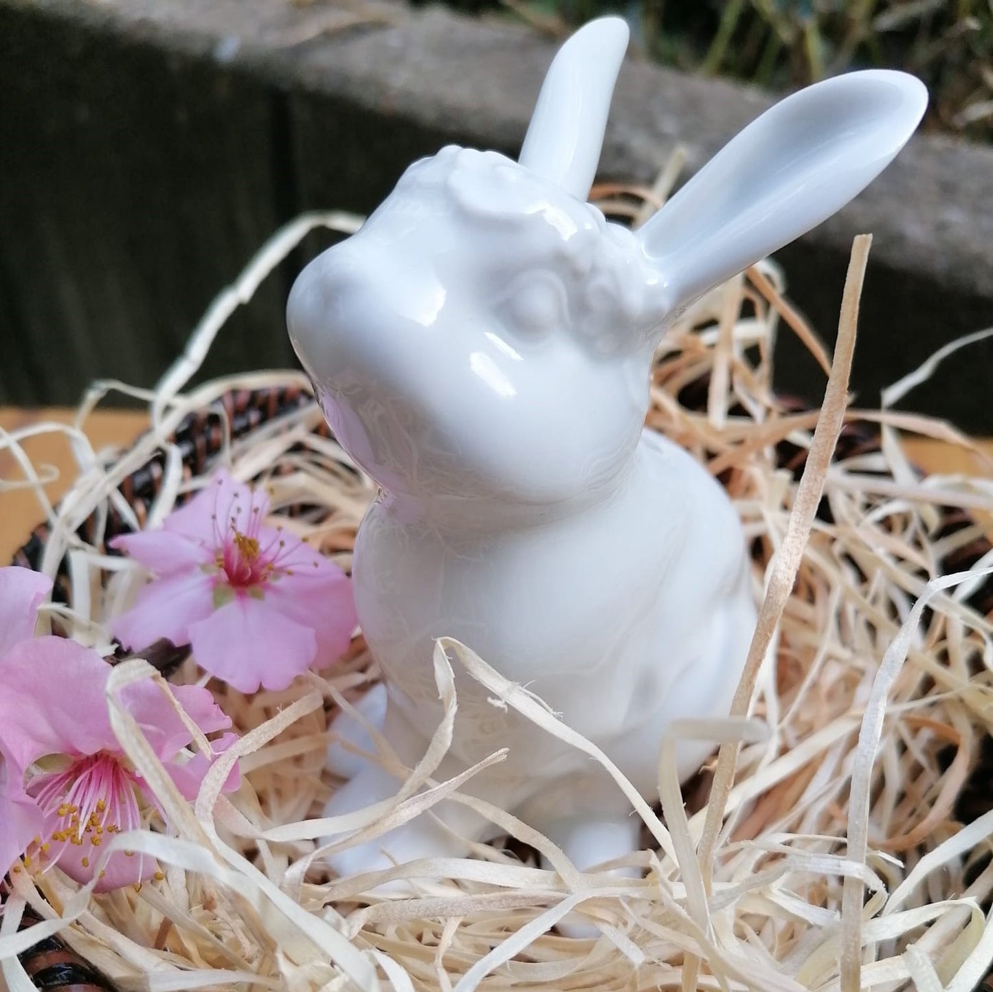 Porzellan Hase FLORA, 2023