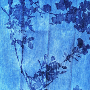 Küchentuch 55x70cm