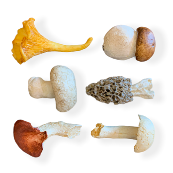 Messerbänklein Pilze Set 6-tlg.