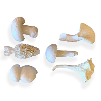 Messerbänkchen Pilze weiss Set 6-tlg.