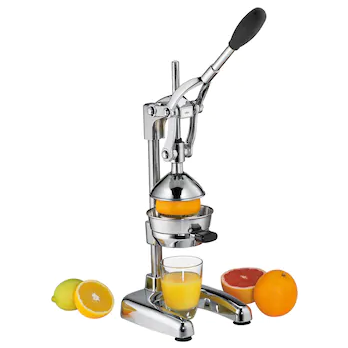 Profi-Saftpresse