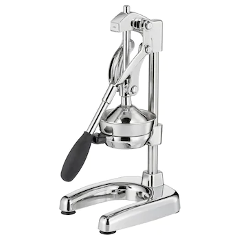 Profi-Saftpresse
