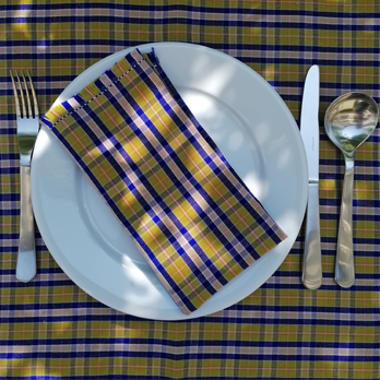 Tischset 40x50cm karriert