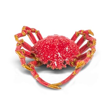 Seespinne rot