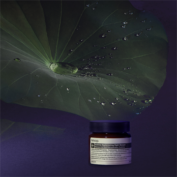 Sublime Replenishing Night Masque