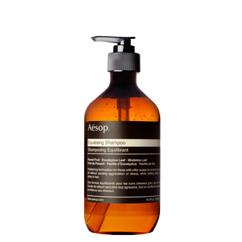 Equalising Shampoo