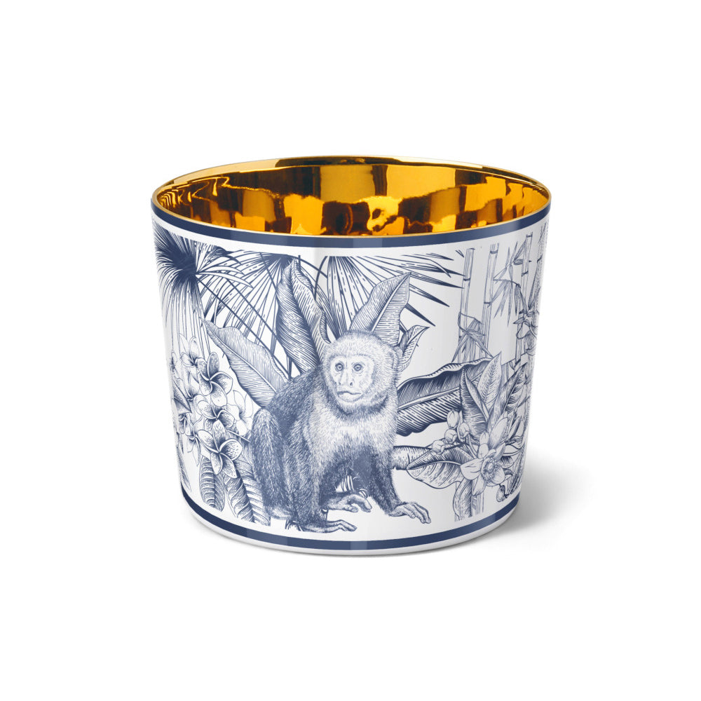 PARAÍSO Blue Monkey, Sip of gold