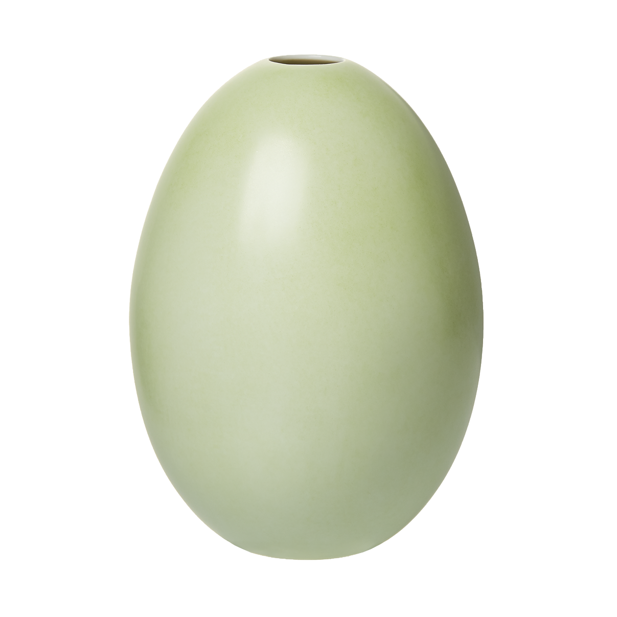 Eivase pistazie, H 16 cm