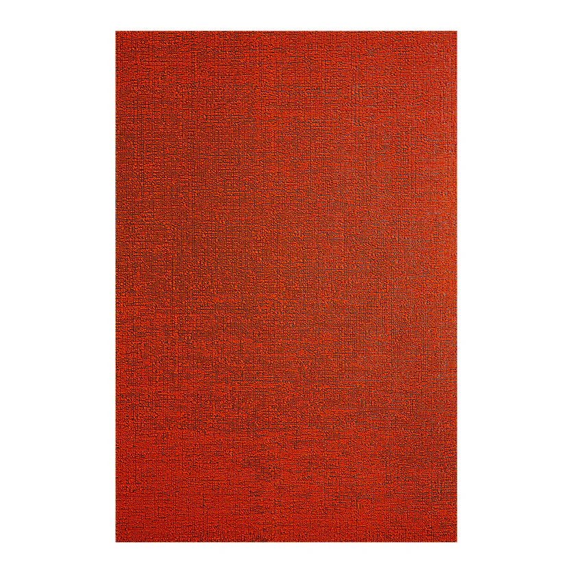 Fussmatte SHAG, Solid CARA CARA 61 x 91 cm