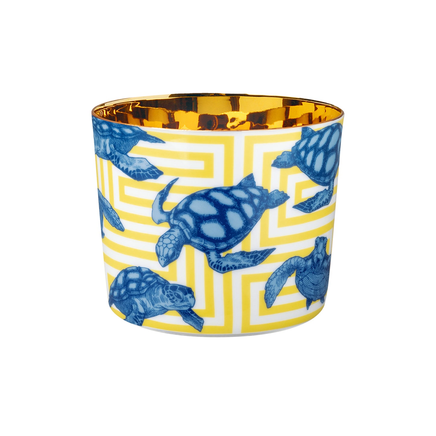 THE TORTOISES, Sip of Gold