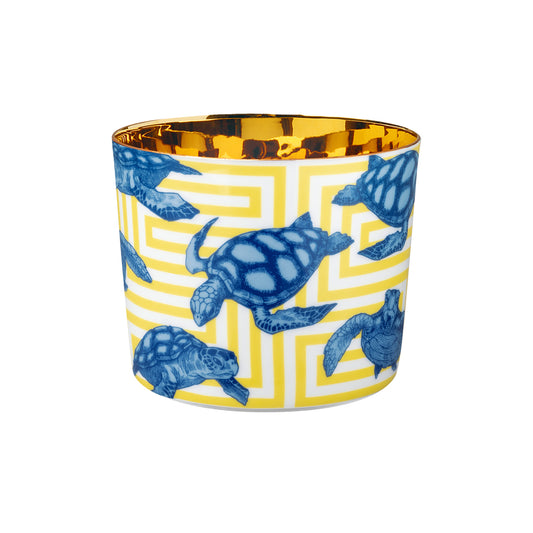 THE TORTOISES, Sip of Gold