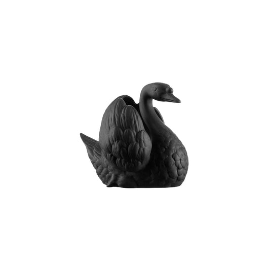 Schwan Nymphenburg schwarz