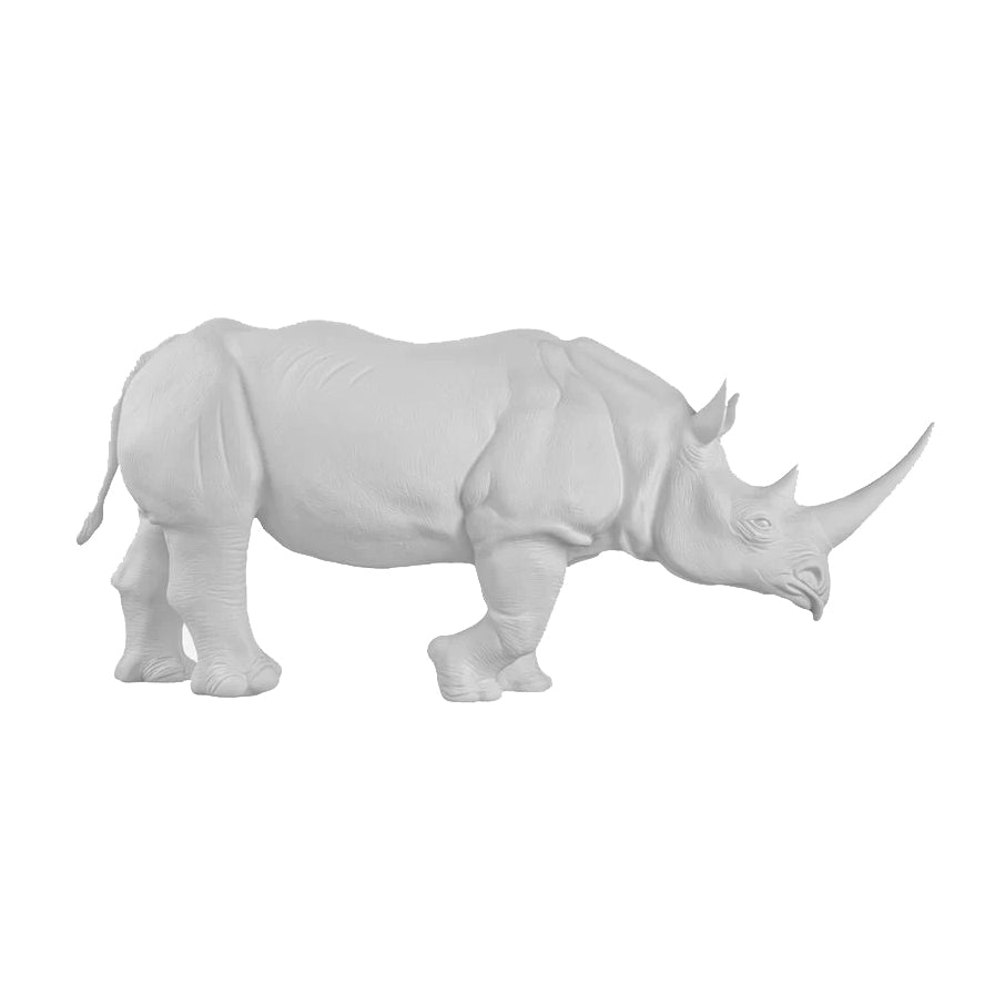 Spitzmaulnashorn ALBERT weiss