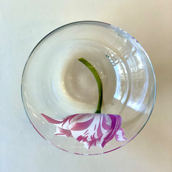 ALPHA Wasserglas Tulipmania No 44
