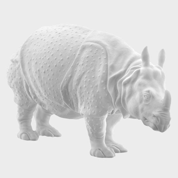 Rhinozeros CLARA weiss