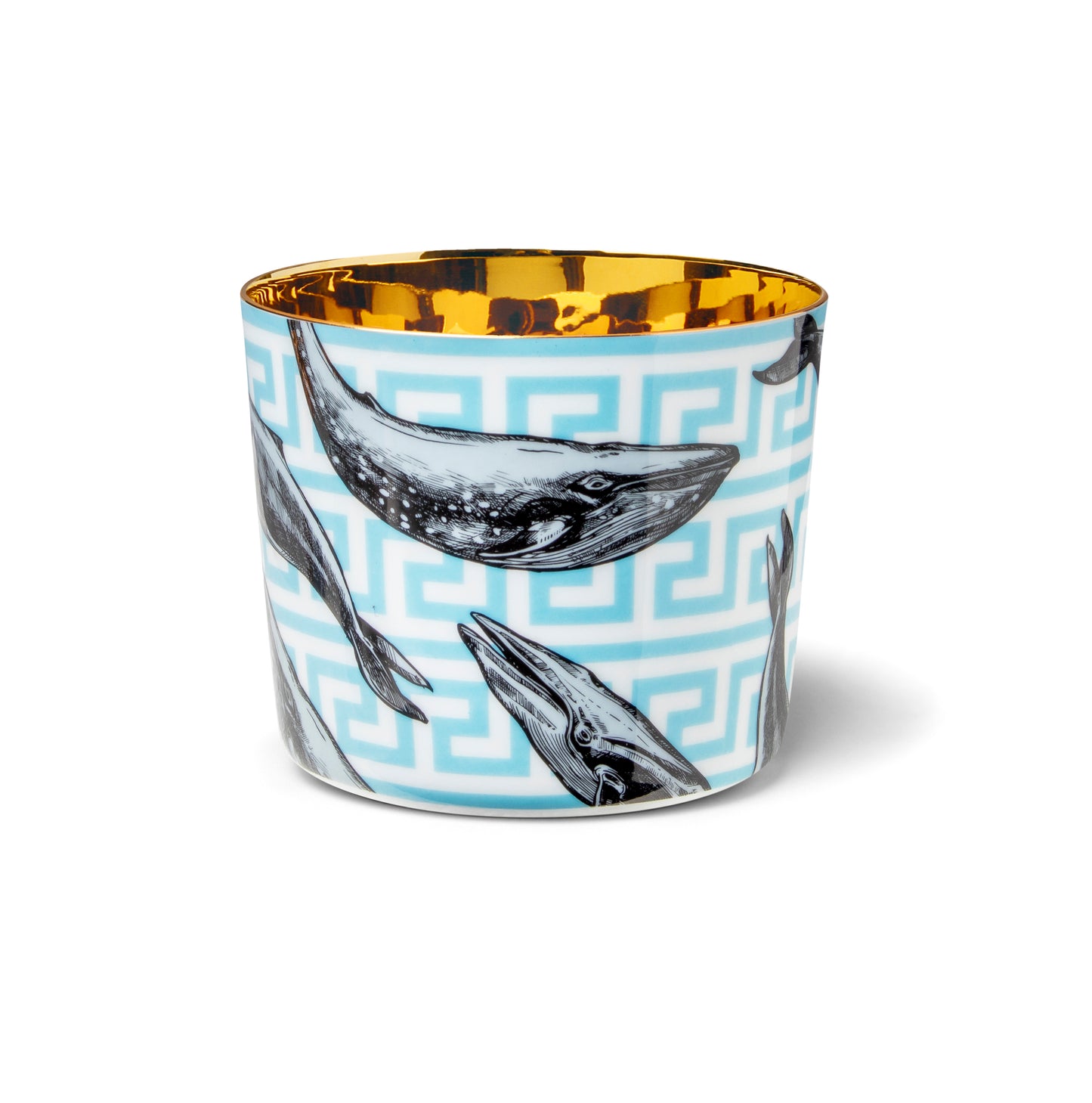 THE WHALES, Sip of gold