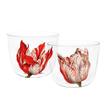 ALPHA Wasserglas Tulipmania No 13